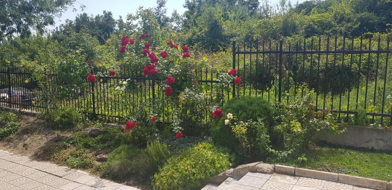 Harmony Hills Kolevi Apartments Rogacsevo Kültér fotó